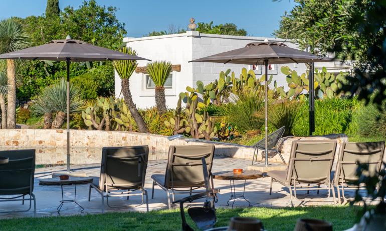 Jardin avec cactus, chaises longues et parasols.